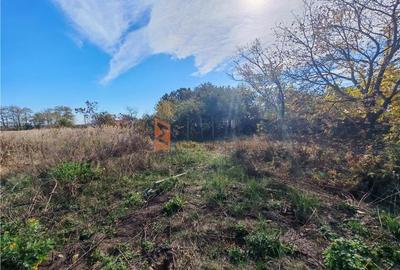 Teren intravilan 2500mp de vanzare in Zoresti, Buzau - 4