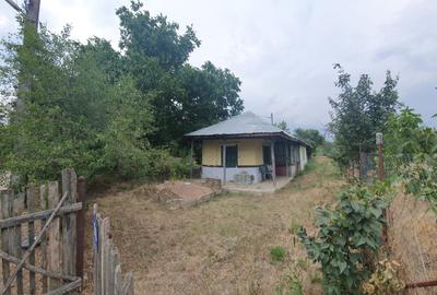 Teren Construcții intravilan de 1100 mp, în Podu Ilfovățului - 11