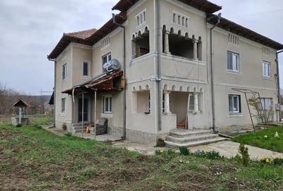Casă cu Teren 3000 Mp în Sinești - 5