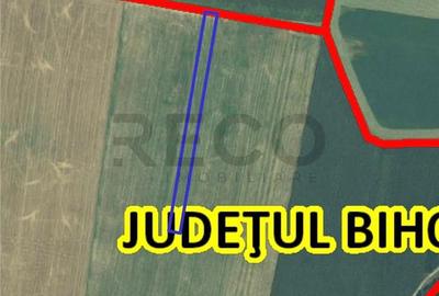 Teren de 5800 mp, în Nojorid