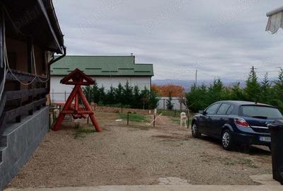 Casă în Boldești - 2