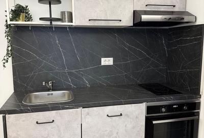 Apartament 2 camere de inchiriat  | Cortina North - 3