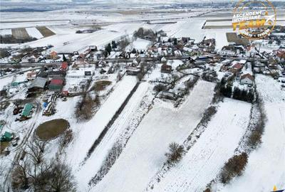 Casă cu Teren 4831 Mp în Țufalău - 7