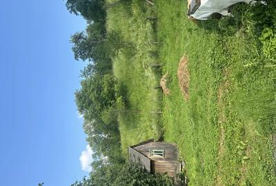 De vanzare casa la ?ara lini?te, natura ?i izvor de apa sarata! - 2