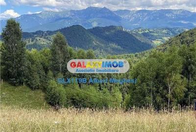 Teren intravilan de 10818 mp, în Moieciu de Jos - 3