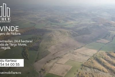 Teren extravilan 26.66 hectare, Sângeru de Pădure, Mureș!
