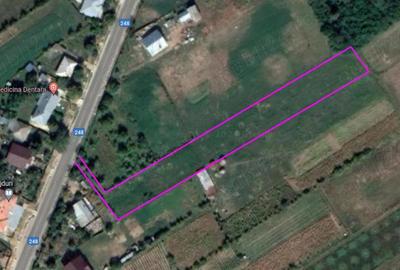 Teren de 3300 mp, în Grajduri