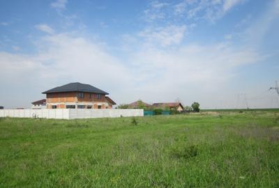 Teren Construcții intravilan de 775 mp, în Domnești - 7
