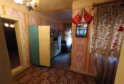 Bogodint, Casa 440mp cu 4 Hectare Teren, Pret Negociabil - 3