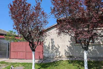 Casă cu 3 camere cu Teren 1000 Mp în Foeni - 1