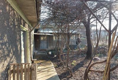 Casă în Fierbinți-Târg - 2