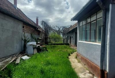 Casă cu 2 camere în Central - 1