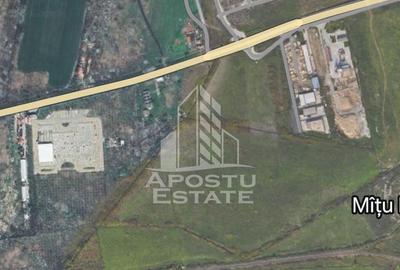 Parcela de teren 7781 mp, ideala investitie, zona Mehala. - 1