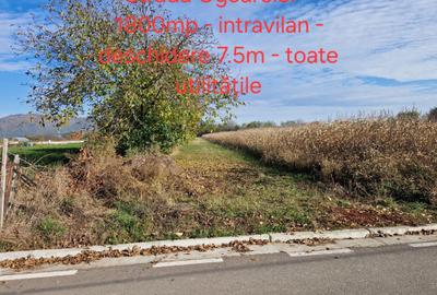 Spațiu comercial, în Central - 5