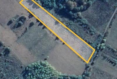 Teren de 8700 mp, în Calea Caransebeșului - 3