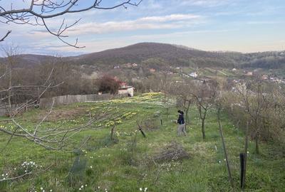 Casă cu 3 camere în Valea Mare - 4