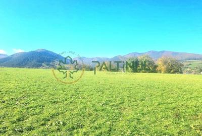 Teren in Rasinari, Sibiu 3010 mp cu priveliste superba - 6