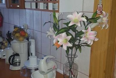 Apartament cu 3 camere în Petros - 1