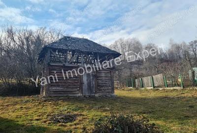 Teren de vanzare in comuna Cicane?ti, sat Cicane?ti, Jude? Arge?. - 11