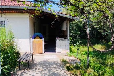 Casa traditionala Bodesti - 7