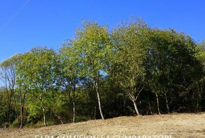 TEREN 1522 MP, LA 10 MINUTE DE ORAS - 16