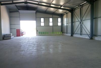 VANZARE HALA INDUSTRIALA - POPESTI LEORDENI - 4