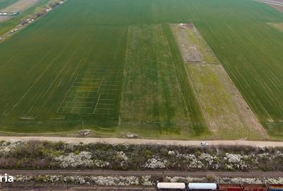 Spațiu comercial, în Giroc - 10