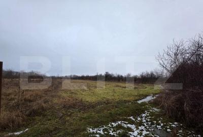 Teren deschidere la drum, 4172 mp Frasin Deal, langa p - 3