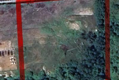 Teren de 5200 mp, în Peștișu Mare - 2