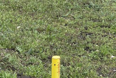 Spațiu comercial, în Pasărea - 4