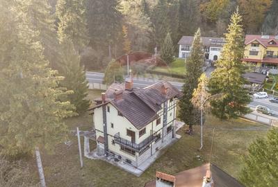 Proprietate cu potențial uriaș – Timișul de Sus – Brașov - 2