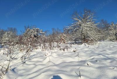 Teren de 2880 mp, în Mustești - 3