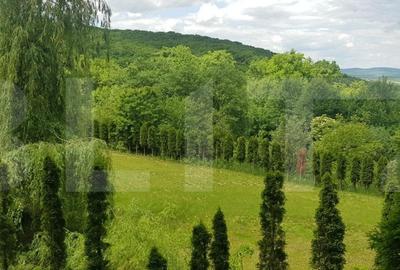 Investitie ! Casa de vacanta 350 mp utili ,teren 3000 mp in Faget ! - 4