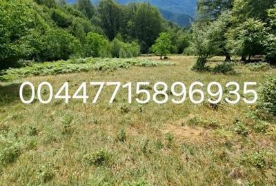 Casă cu 2 camere în Central - 6