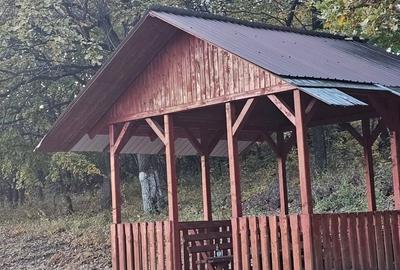 Teren de 5400 mp, în Șpring - 9