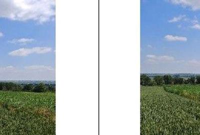 Teren extravilan Bosanci, ID: R2649420 - 12