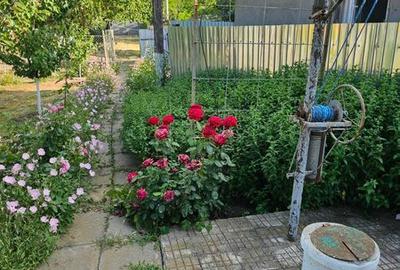 Casă cu 4 camere cu Teren 96 Mp în Oancea - 8