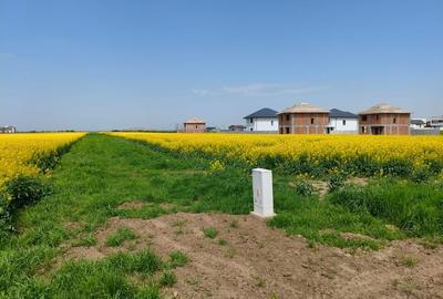 Teren 469 mp Vidra - utilitati la lot, plata in rate - 2