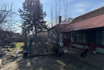 Casă cu 4 camere în Viișoara - 1