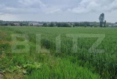 Teren pentru casa intravilan , 800 mp deschidere la drum Bod - 5