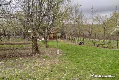 Teren constructii , drum de acces, Salicea - 3