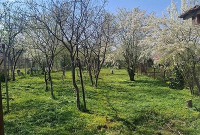 Casă cu Teren 590 Mp în Central - 8