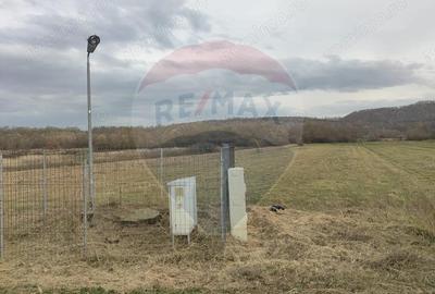 Teren de 11900 mp, în Fârdea - 5