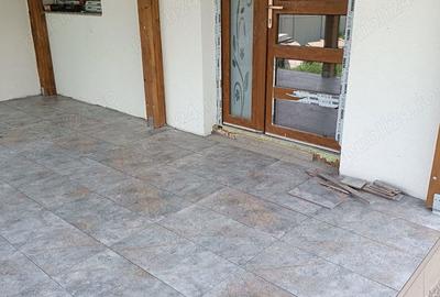 Casă cu 4 camere cu Teren 1144 Mp în Precista - 6