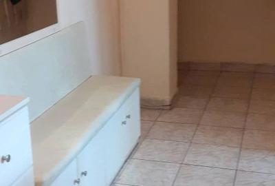 Apartament cu 2 camere semidecomandat în Careiului - 3
