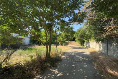 Teren 786mp, Iasi - centrul civic - 5