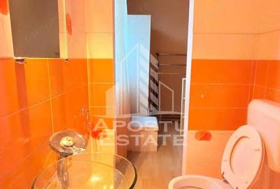 Casă cu 7 camere în Mehala - 10