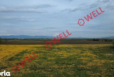 Teren de 429 mp, în Bod - 3