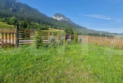 Teren de 1004 mp, în Zărnești - 2