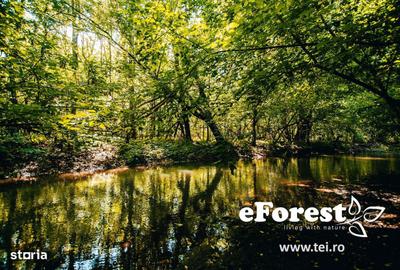 Teren de 760 mp, în Crevedia